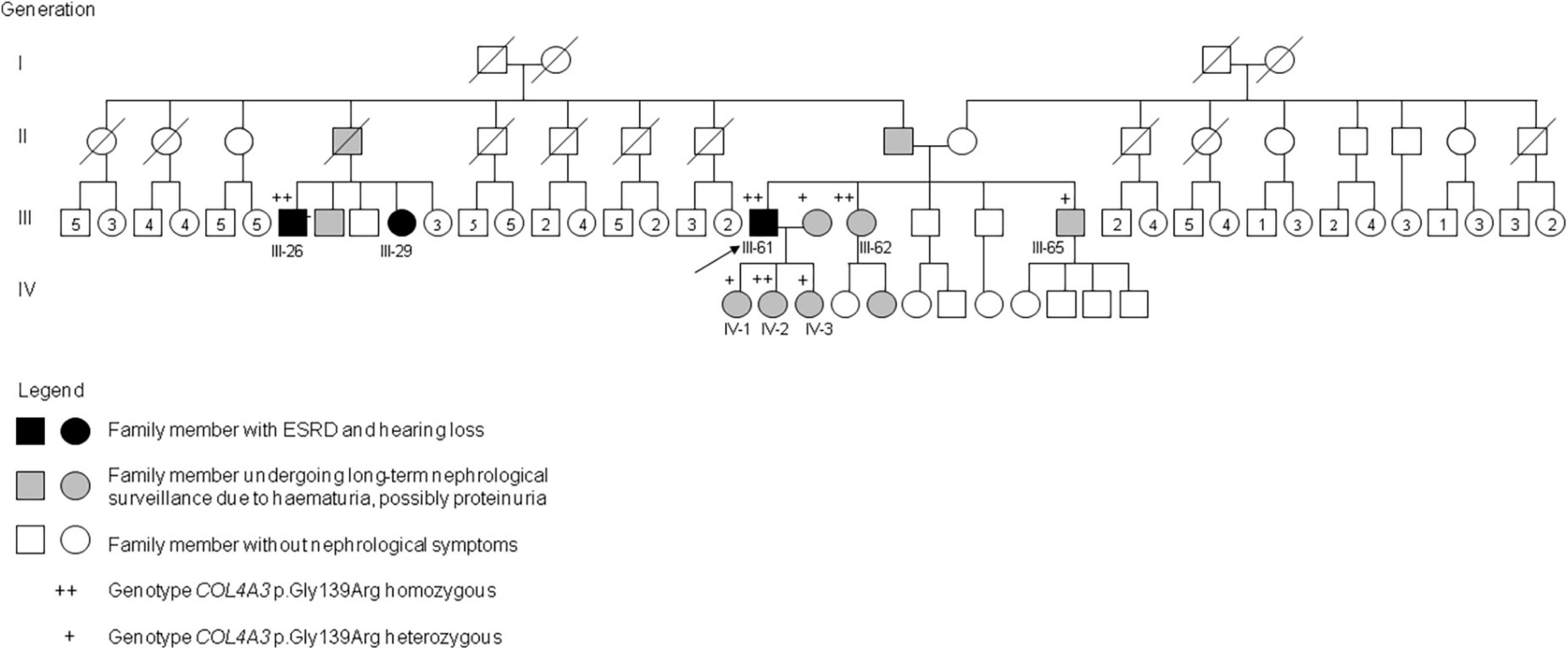 A founder COL4A4 pathogenic variant resulting in autosomal recessive Alport syndrome accounts for most genetic kidney failure in Romani people